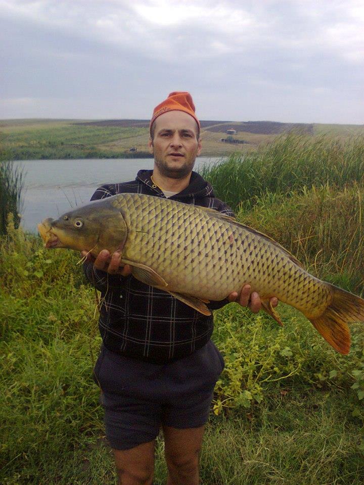 nebunie - salbaticie 100%